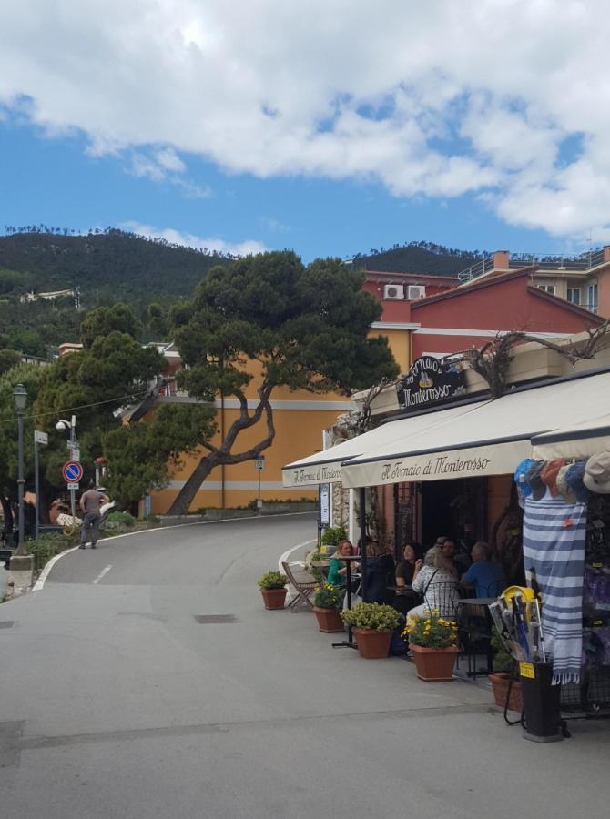 Monterosso Garden House *